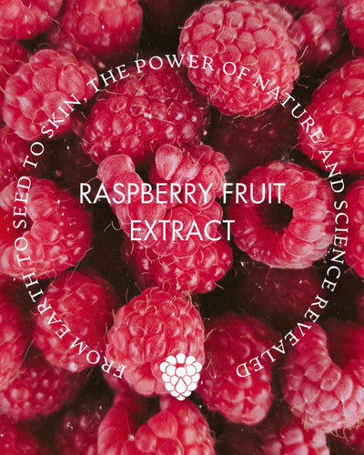 Ingredients Illuminated: Raspberry Fruit Extract