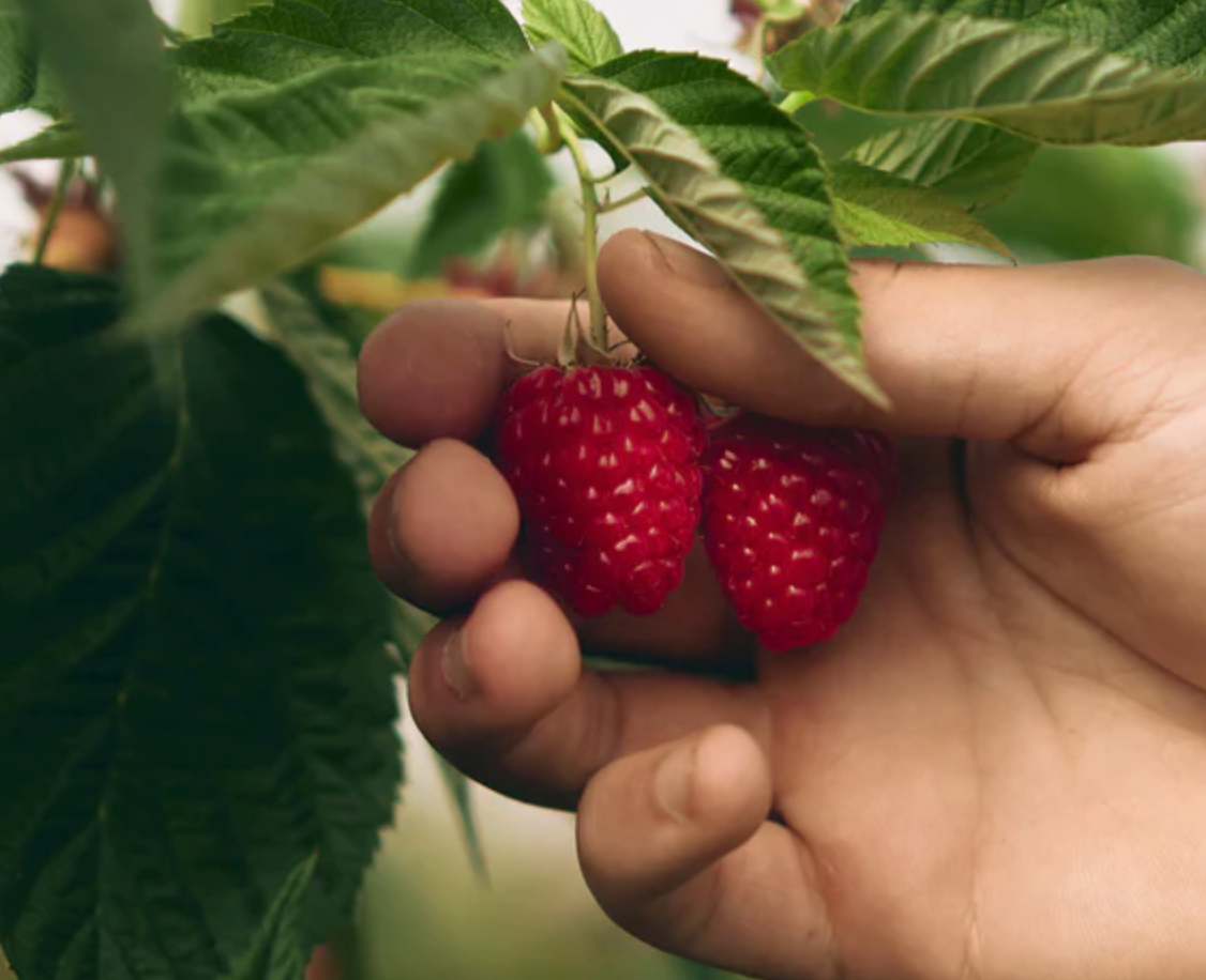 How green is your skincare? KELSEY