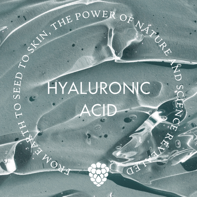 Ingredient Illuminated: Hyaluronic Acid